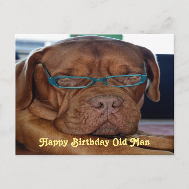 Happy Birthday Alte Hund drucken Postkarte (Vorderseite)