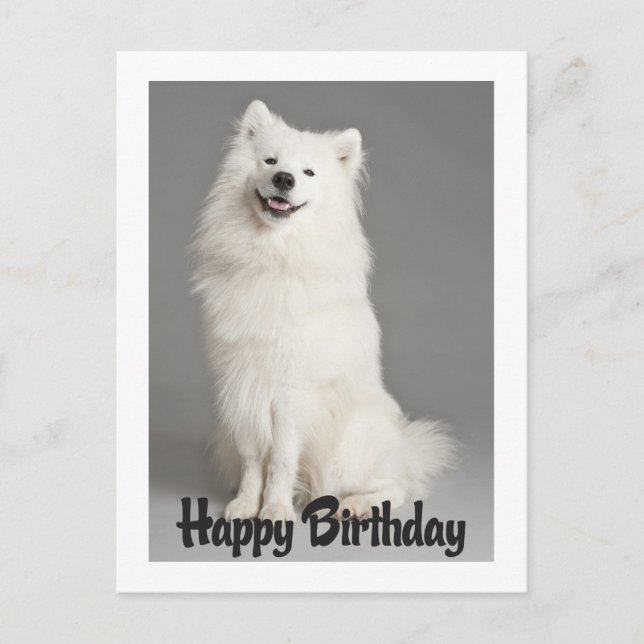 Happy Birthday American Eskimo Puppy Dog Postkarte (Vorderseite)