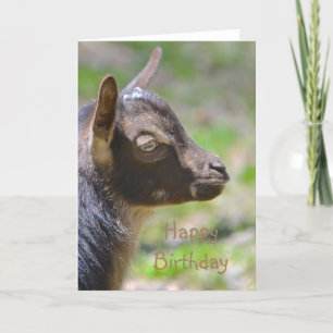 Happy Birthday Baby Goat Karte