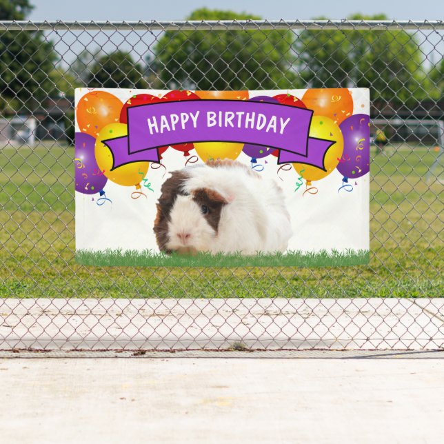 Happy Birthday Balloons White Guinea Pig Lila Banner (Insitu)