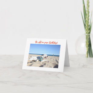 Happy Birthday! Beach Bull Terrier Hawaii Karte