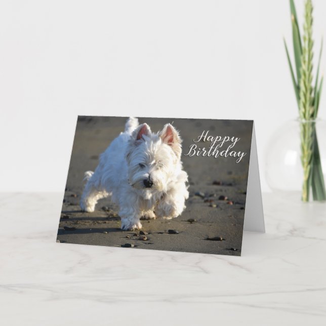 Happy Birthday Beachcombing Westie Foto Card Dankeskarte (Vorderseite)