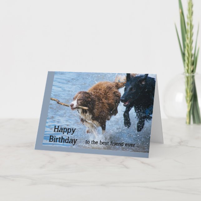 Happy Birthday Best Friend Fun Alte & Crazy Hunde Karte (Vorderseite)