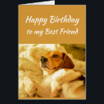 Happy Birthday Best Friend Funny Animals<br><div class="desc">Herzlichen Glückwunsch zum Geburtstag Bester Freund Funny Animals. Freundschaftsspass und Gelächter Geburtstage prangern sich auf.</div>