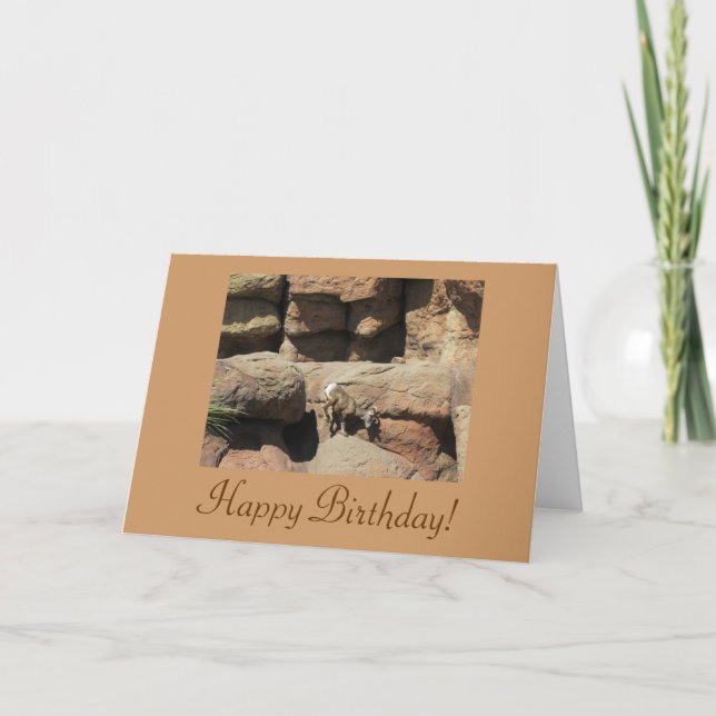 Happy Birthday Bighorn Sheep Card Karte (Vorderseite)