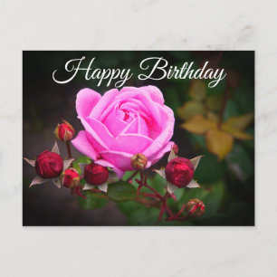 Happy Birthday Bischof Burg Rose #1 Postkarte