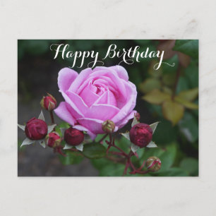 Happy Birthday Bischof Burg Rose #1 Postkarte
