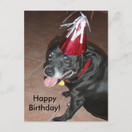 Happy Birthday Black Dog mit Red Hat Postkarte