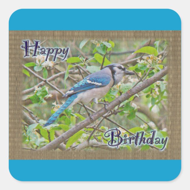 Happy Birthday Blue Jay Quadratischer Aufkleber (Vorderseite)
