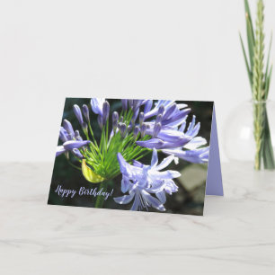 Happy Birthday Blue Lily of the Nile Card Dankeskarte