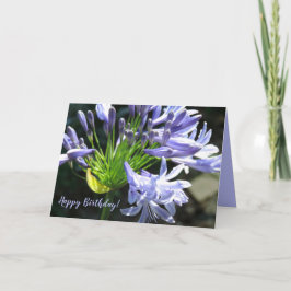 Happy Birthday Blue Lily of the Nile Card Dankeskarte