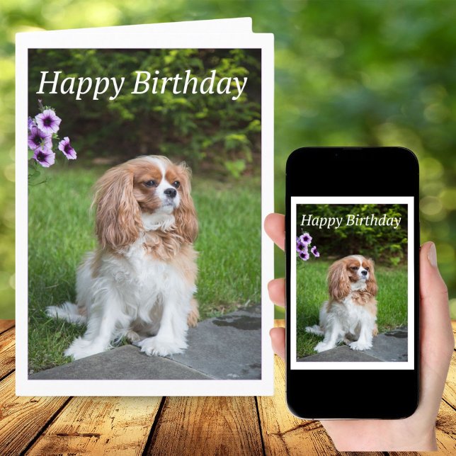 Happy Birthday Blume Cavalier King Spaniel Card Karte (Von Creator hochgeladen)