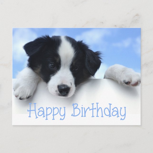 Happy Birthday Border Collie Puppy Dop Card Postkarte (Vorderseite)