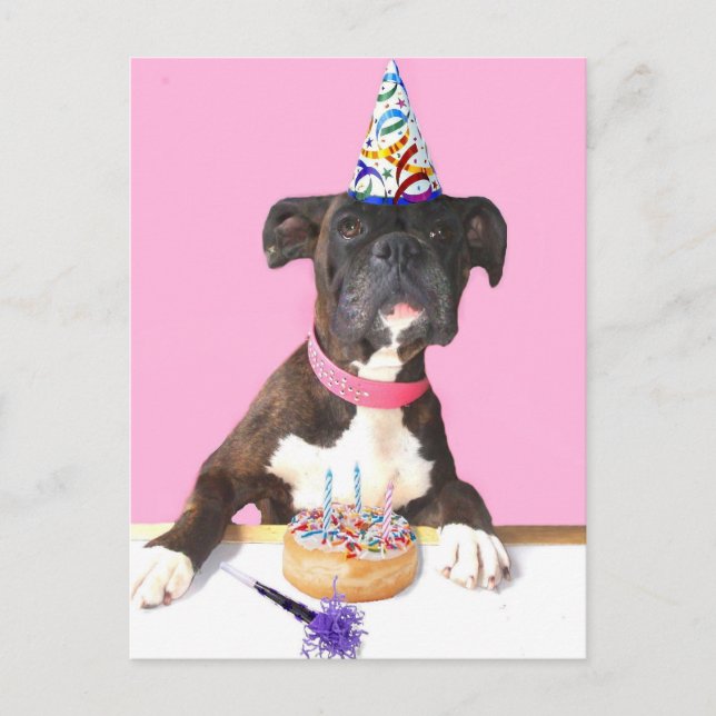 Happy Birthday Boxer Hund Postkarte (Vorderseite)