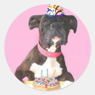 Happy Birthday Boxer Hundeaufkleber Runder Aufkleber