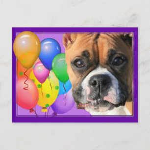 Happy Birthday Boxer Postcard Postkarte
