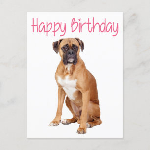 Happy Birthday Boxer Puppy Dog Postkarte