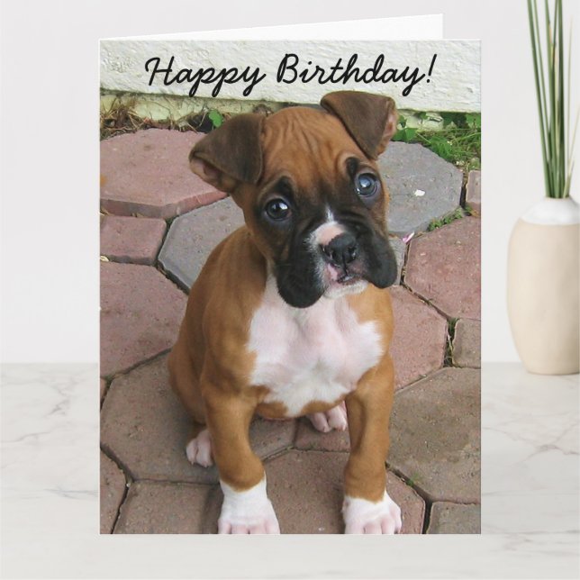 Happy Birthday Boxer Welpengrüßkarte Karte (Vorderseite)