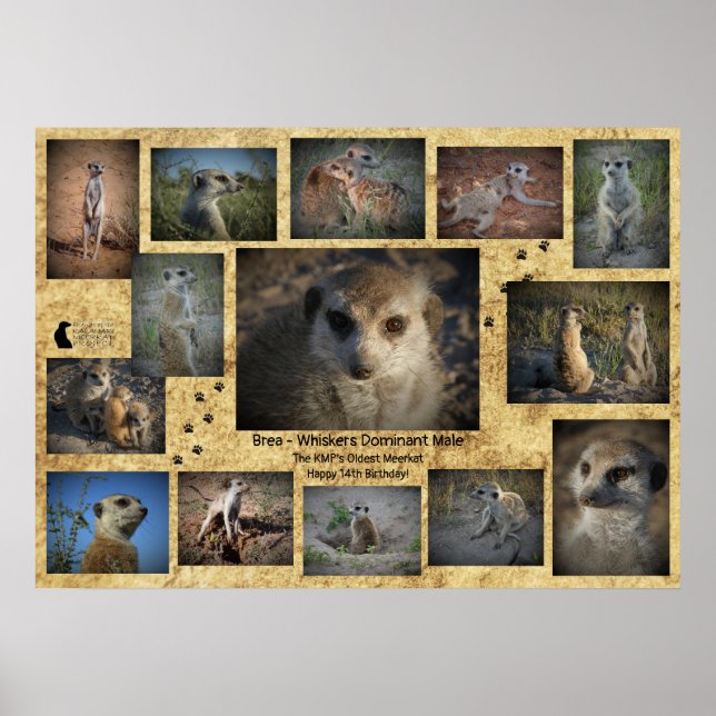 Happy Birthday Brea Poster (Vorne)