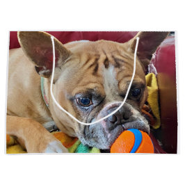 Happy Birthday Brindle Bostyon Terrier Große Geschenktüte