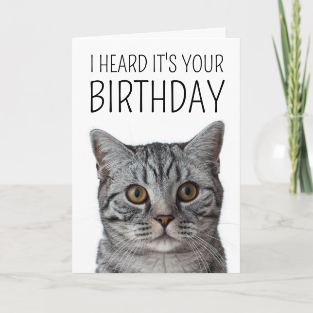 Happy Birthday | British Shorthair Cat Face Karte (Vorderseite)