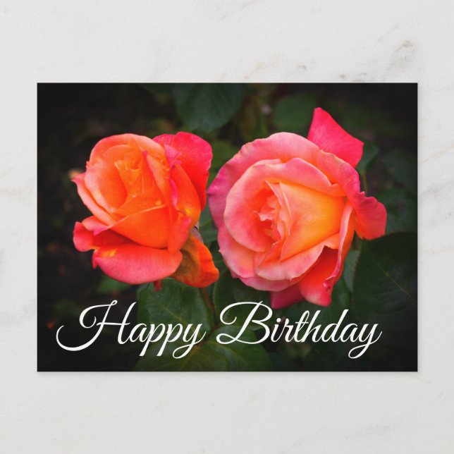 Happy Birthday Broadway Rose #1 Postcard Postkarte (Vorderseite)