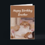 Happy Birthday Brother Celebrate Funny Cat Karte<br><div class="desc">Alles Gute zum Geburtstag,  Brüder feiern,  wie auch immer Sie mit einer niedlichen entspannenden Katze Weihnachten Tier Geburtstag Gruß an anpassen</div>