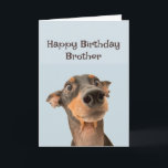 Happy Birthday Brother Fun Dog Grumpy Old Man Karte<br><div class="desc">Happy Birthday Grumpy Old Man Brother niedlich traumatisiert aussehender Hund</div>