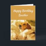 Happy Birthday Brother Funny Animals Karte<br><div class="desc">Happy Geburtstag Bruder Hund schockiert aussehen oder überrascht lustige Tiere.  Freundschaftsspass und    LachenGeburtstage prangern sich auf.</div>