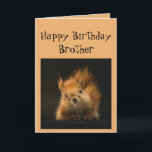 Happy Birthday Brother Funny Red Squirrel Tier Karte<br><div class="desc">Schöne Geburtstagskarte für deinen Bruder Du wirst altern wie eine Eiche,  die aufpasst,  Nüsse zu fallen</div>