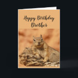 Happy Birthday Brother Funny Squirrel Relax Karte<br><div class="desc">Eine lustige Karte für Ihren fleißigen Bruder,  der sie daran erinnert,  sich mit einem niedlichen entspannenden,  Chillout-Eichhörnchen-süße Tier zu entspannen. Inside Verse: Und Sie wissen schon,  dass Sie am Geburtstag einfach nur kühlen und entspannen sollen,  oder?</div>