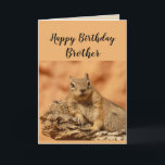 Happy Birthday Brother Funny Squirrel Spaß Karte<br><div class="desc">Die lustige Geburtstagskarte für den Bruder,  der sich Sorgen macht,  älter zu werden oder über den Hügel mit einem niedlichen entspannenden,  Chillout Eichhörnchen süße Tier. Inside Verse: Mach dir keine Sorgen,  dass du älter wirst.. Es ist kein Problem,  bis du deine Nüsse nicht finden kannst.</div>