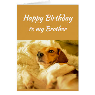 Happy Birthday Brother Real Age Spaß Fun Dog