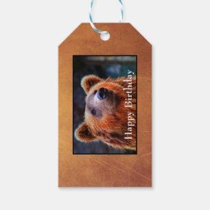 Happy Birthday Brown Bear Portrait Wildlife Foto Geschenkanhänger