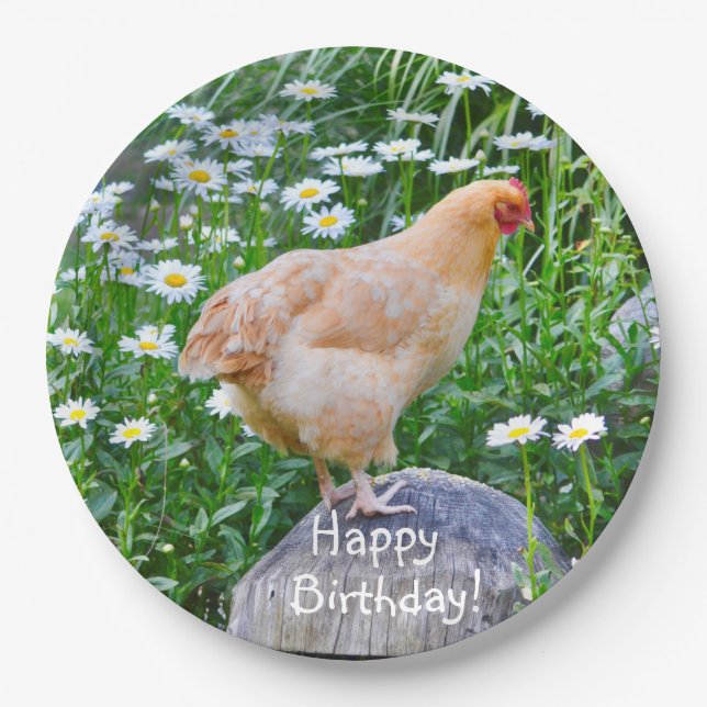 Happy Birthday Buff Orpington Chicken Pappteller (Vorderseite)