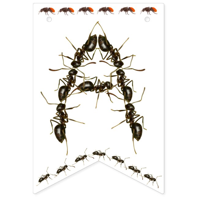 Happy Birthday Bug Themed Banner (Dritte Fahne)