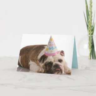 Happy Birthday Bull Dog Card Karte