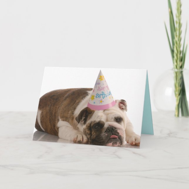 Happy Birthday Bull Dog Card Karte (Vorderseite)