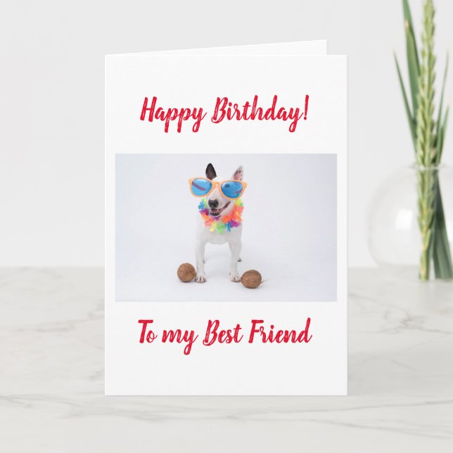 Happy Birthday Bull Terrier mit Kokosnüssen Karte (Vorderseite)