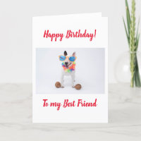 Happy Birthday Bull Terrier mit Kokosnüssen