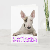 Happy Birthday Bull Terrier Puppy Dog
