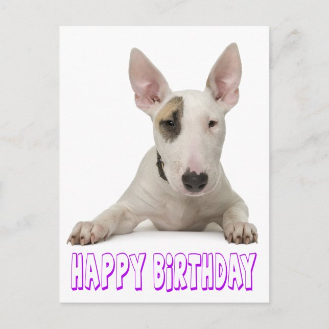Happy Birthday Bull Terrier Puppy Dog Postkarte (Vorderseite)
