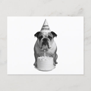 Happy Birthday Bulldog Feiertagspostkarte