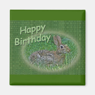 Happy Birthday Bunny Rabbit CordItems Magnet