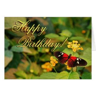 Happy Birthday Butterfly Card