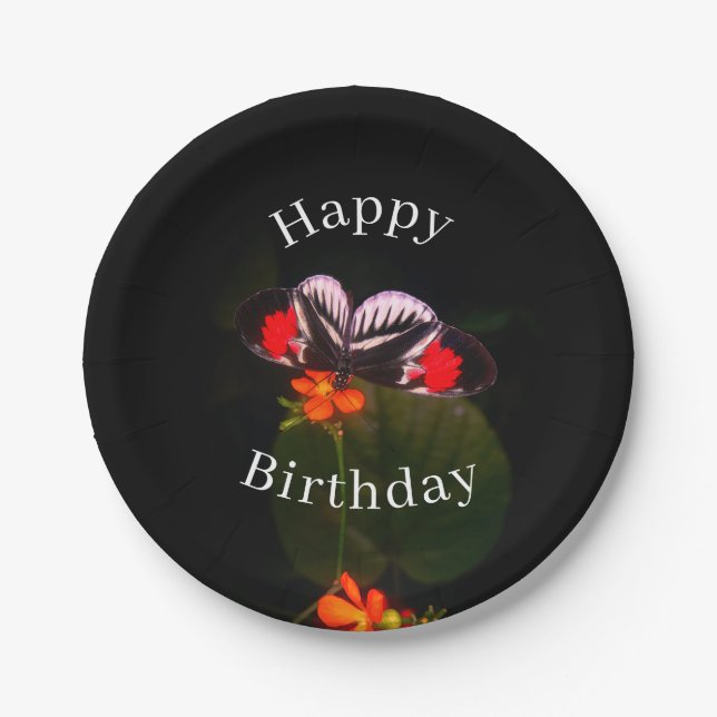 Happy Birthday Butterfly Pappteller (Vorderseite)