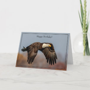 Happy Birthday Card Bald Eagle Karte