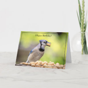 Happy Birthday Card Blue Jay Karte