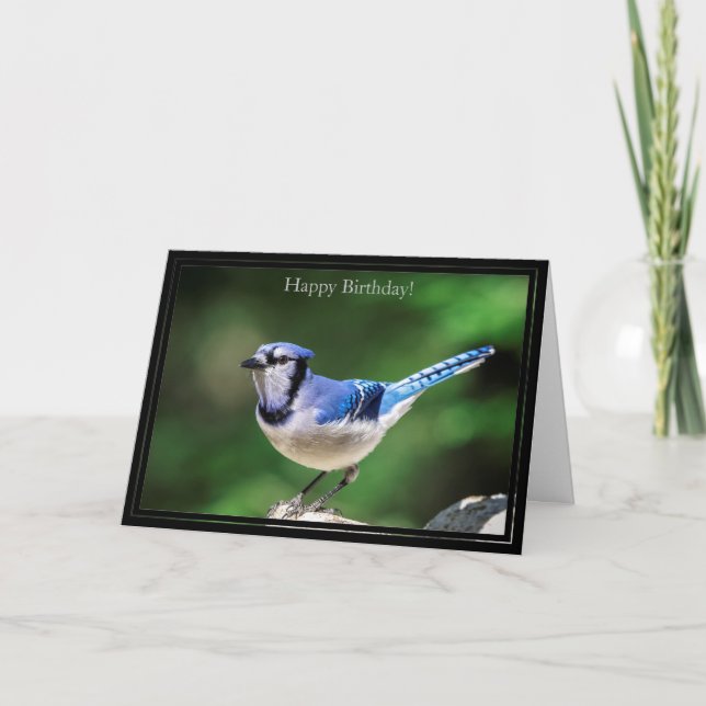 Happy Birthday Card Blue Jay Karte (Vorderseite)