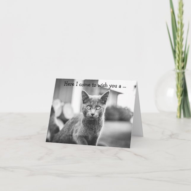 Happy Birthday Card: Gray Cat Karte (Vorderseite)